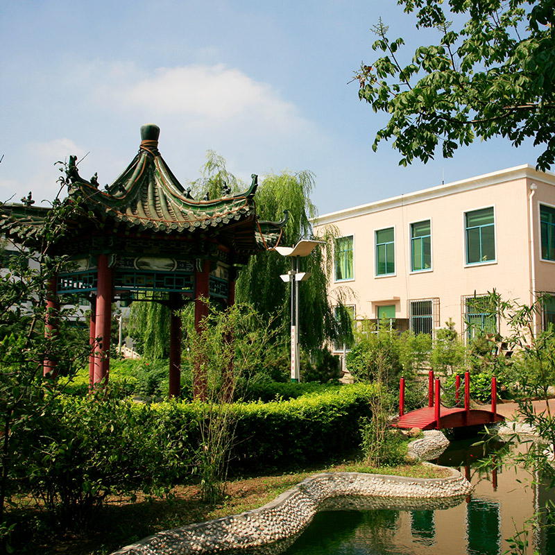 祝福海盟生日快樂(lè)！